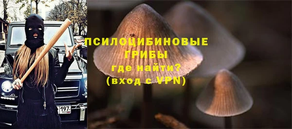 гидра Алексеевка