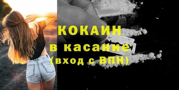 прущие грибы Заводоуковск