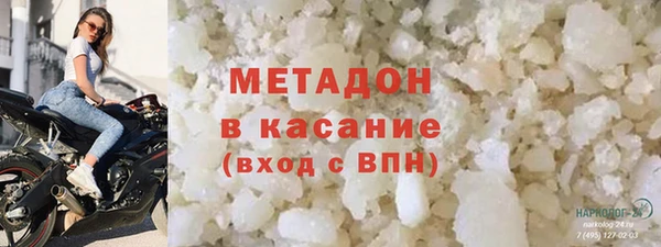индика Алзамай